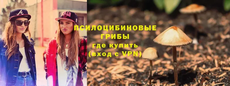 магазин  наркотиков  Конаково  Псилоцибиновые грибы MAGIC MUSHROOMS 